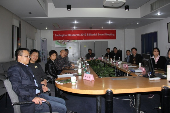 电子游戏app下载安装