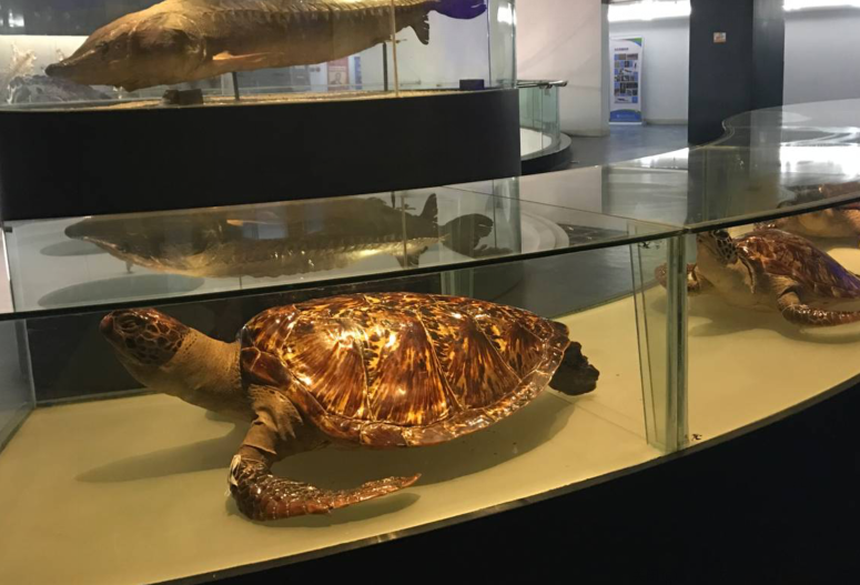 电子游戏app下载安装