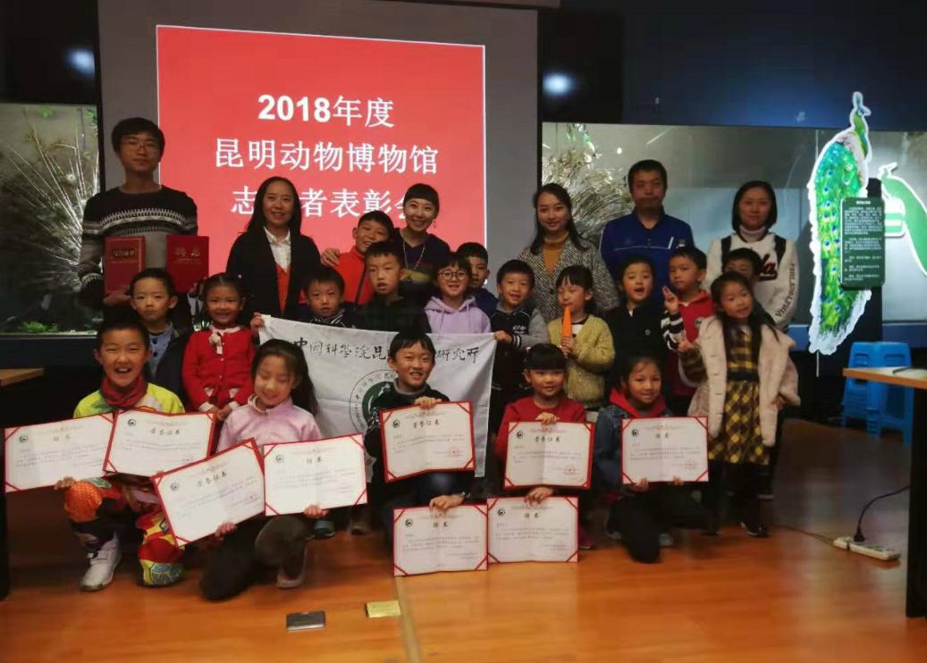 电子游戏app下载安装