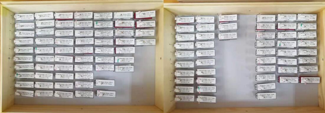 电子游戏app下载安装