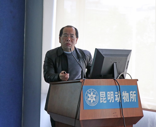 电子游戏app下载安装