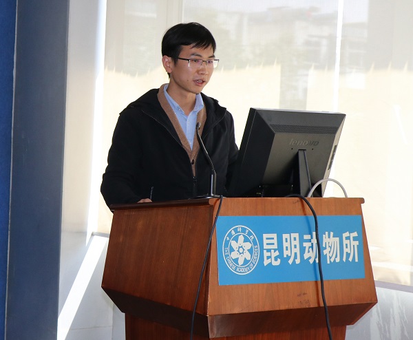 电子游戏app下载安装