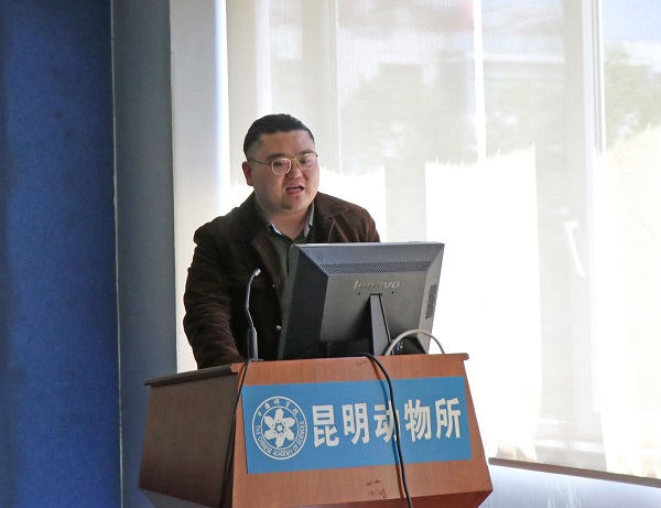 电子游戏app下载安装