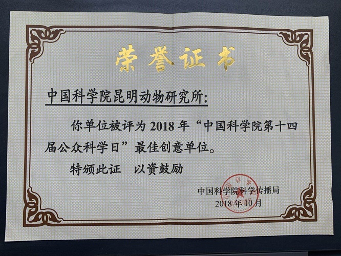 电子游戏app下载安装