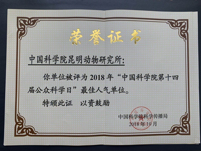 电子游戏app下载安装