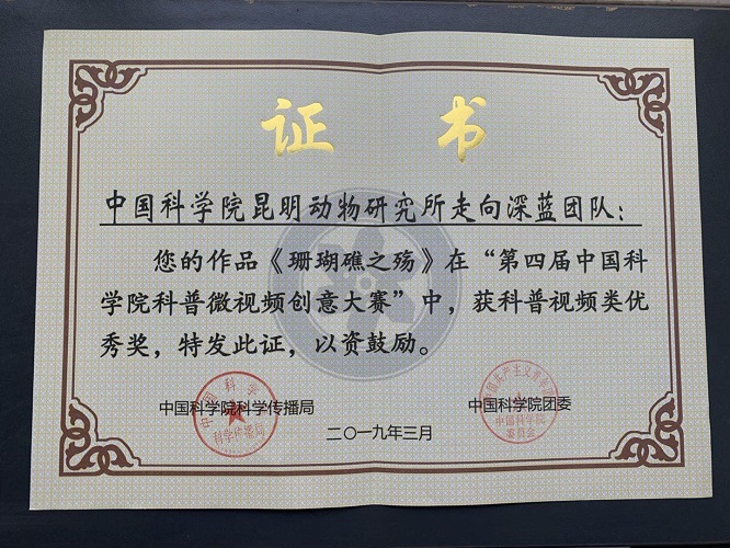 电子游戏app下载安装