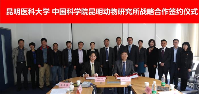 电子游戏app下载安装