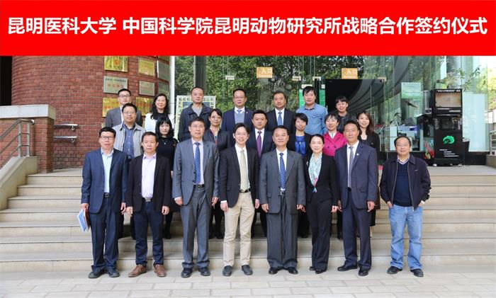 电子游戏app下载安装