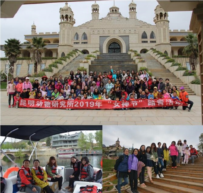 电子游戏app下载安装