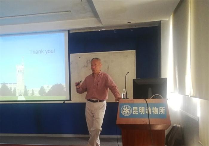 电子游戏app下载安装