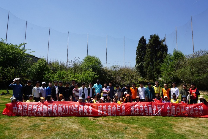 电子游戏app下载安装