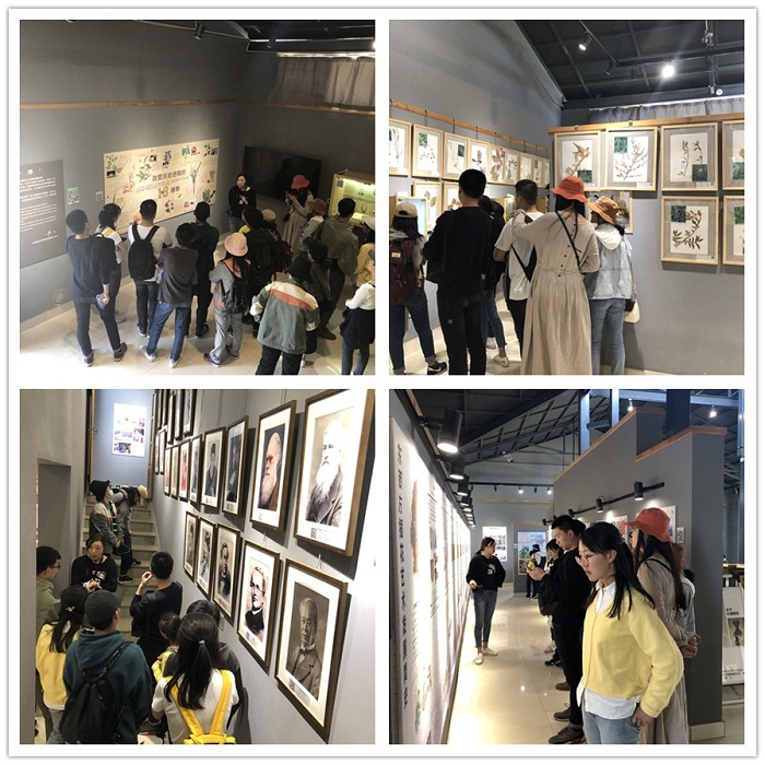 电子游戏app下载安装