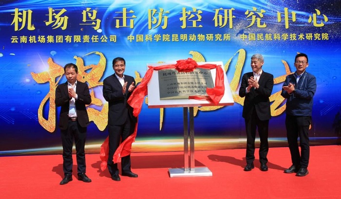 电子游戏app下载安装