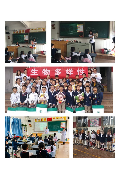 电子游戏app下载安装