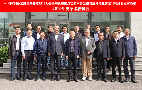 电子游戏app下载安装