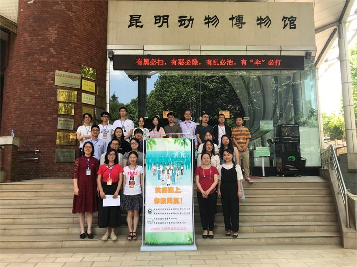 电子游戏app下载安装