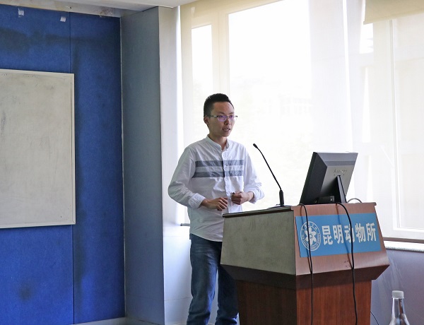 电子游戏app下载安装