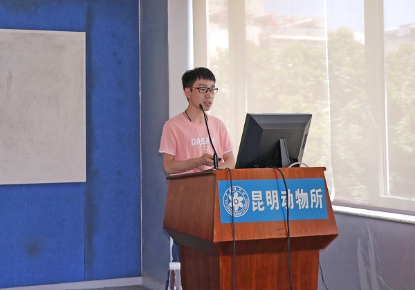 电子游戏app下载安装