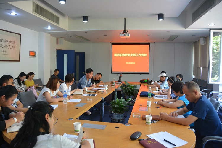 电子游戏app下载安装