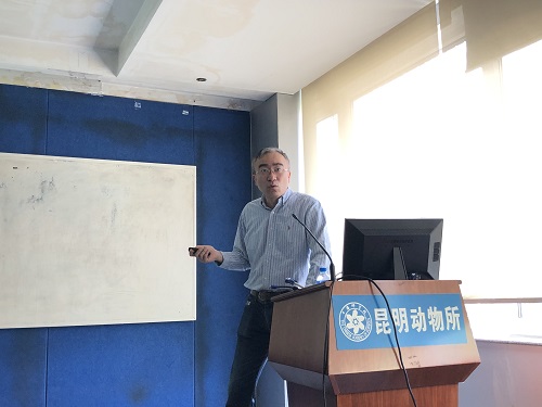 电子游戏app下载安装