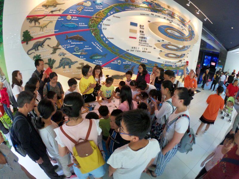 电子游戏app下载安装