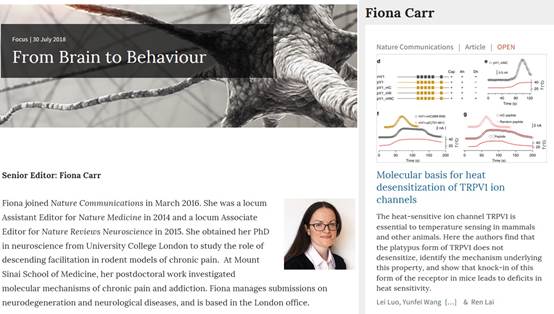 电子游戏app下载安装