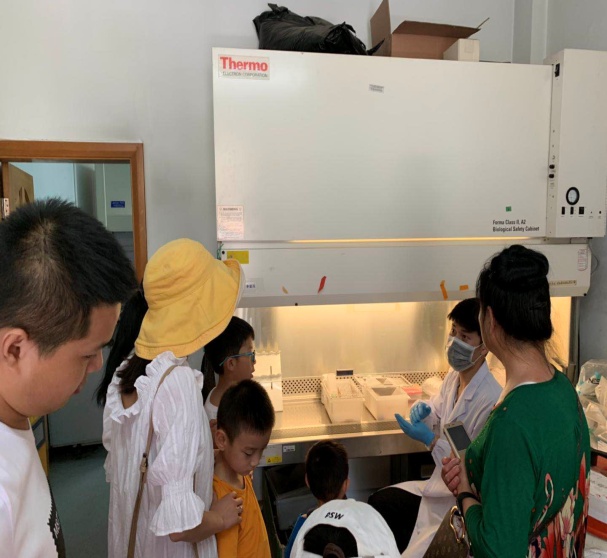 电子游戏app下载安装