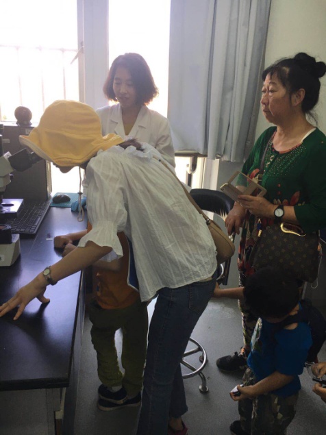 电子游戏app下载安装