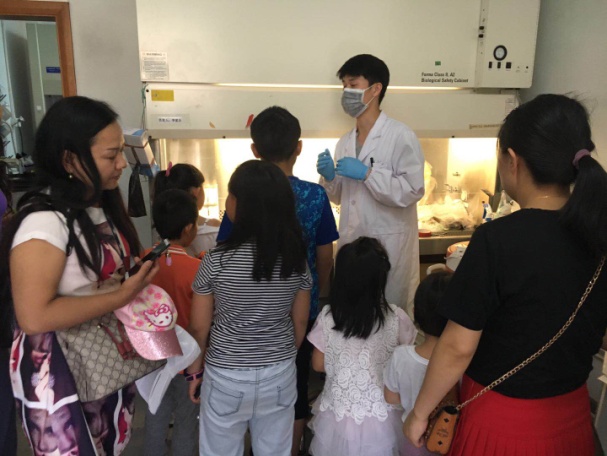 电子游戏app下载安装