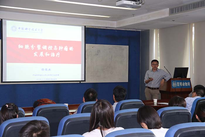 电子游戏app下载安装