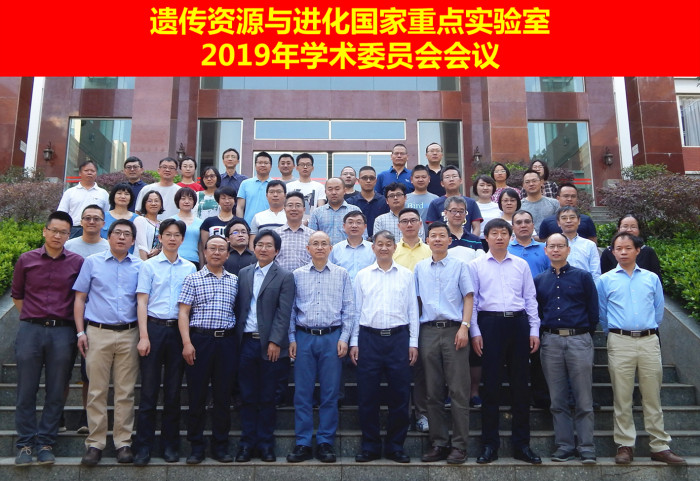 电子游戏app下载安装