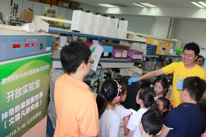 电子游戏app下载安装