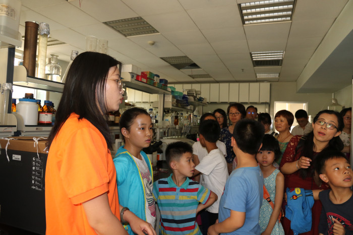 电子游戏app下载安装