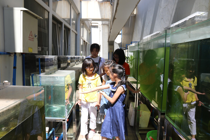 电子游戏app下载安装