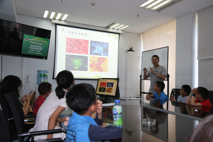 电子游戏app下载安装