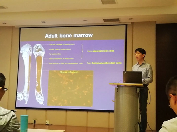 电子游戏app下载安装