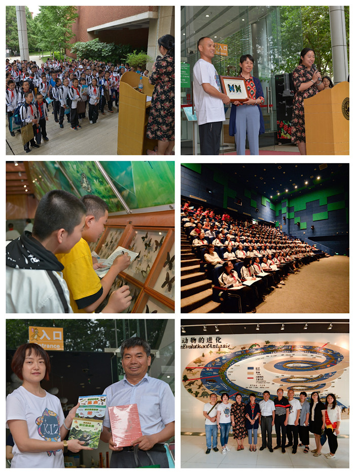 电子游戏app下载安装