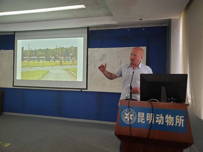 电子游戏app下载安装