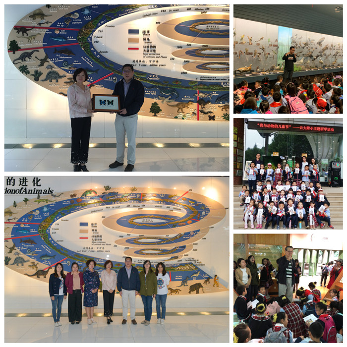 电子游戏app下载安装