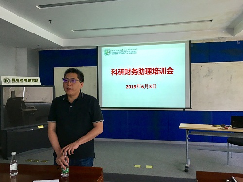 电子游戏app下载安装