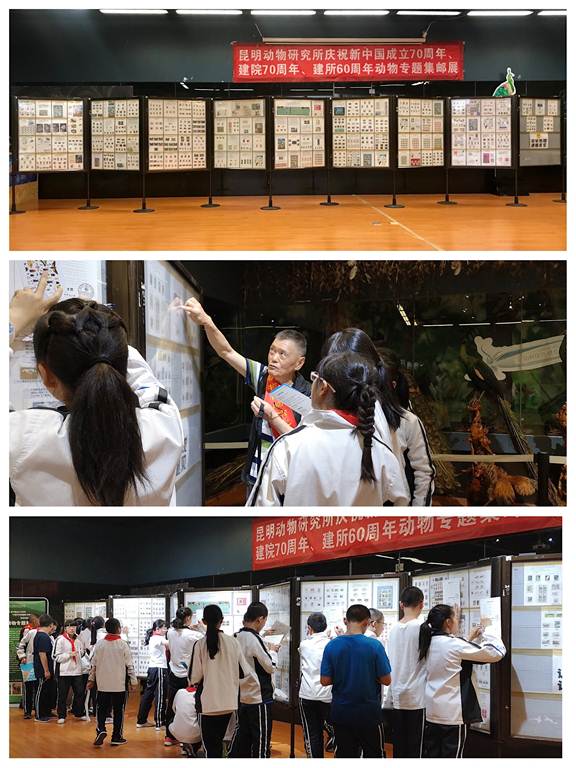 电子游戏app下载安装