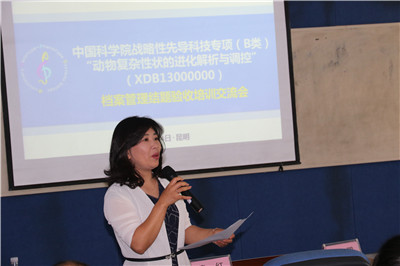 电子游戏app下载安装