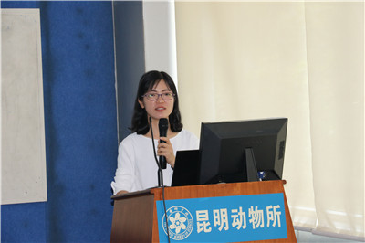 电子游戏app下载安装