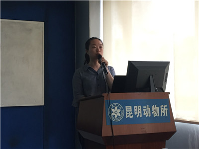 电子游戏app下载安装