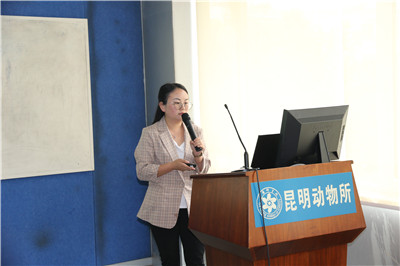 电子游戏app下载安装