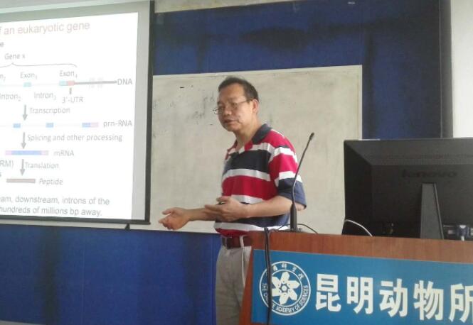 电子游戏app下载安装