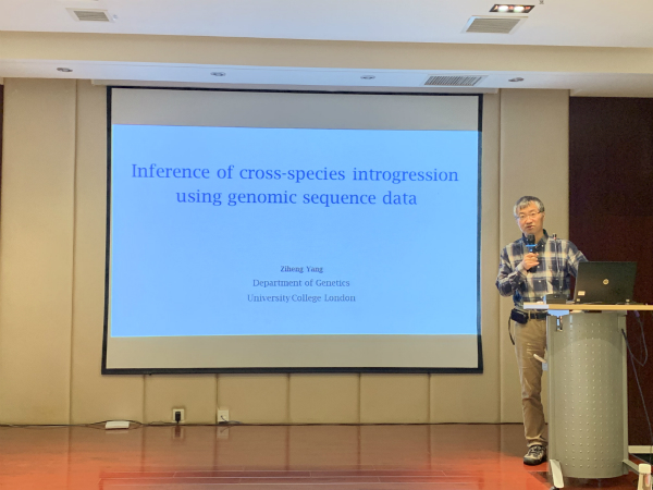 电子游戏app下载安装