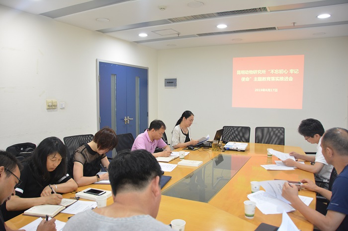 电子游戏app下载安装