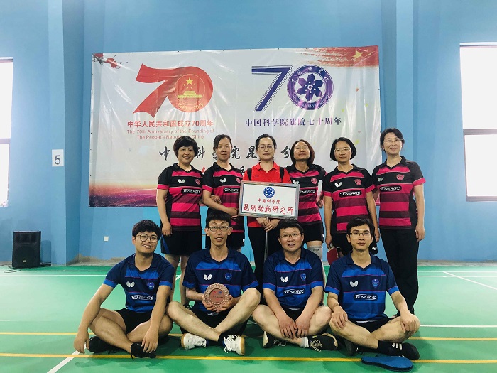 电子游戏app下载安装