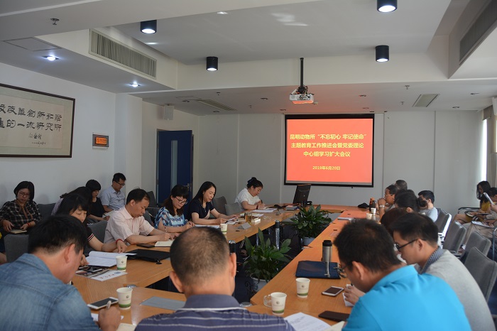 电子游戏app下载安装